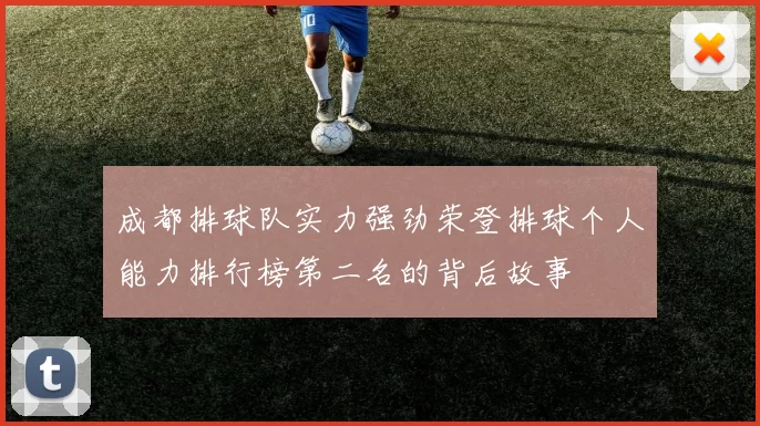 成都排球队实力强劲荣登排球个人能力排行榜第二名的背后故事