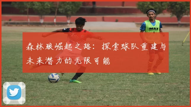 森林狼崛起之路：探索球队重建与未来潜力的无限可能