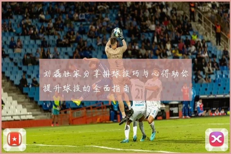 刘磊独家分享排球技巧与心得助你提升球技的全面指南