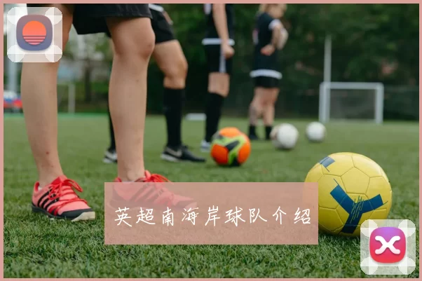 英超南海岸球队介绍