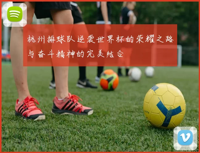 杭州排球队逆袭世界杯的荣耀之路与奋斗精神的完美结合