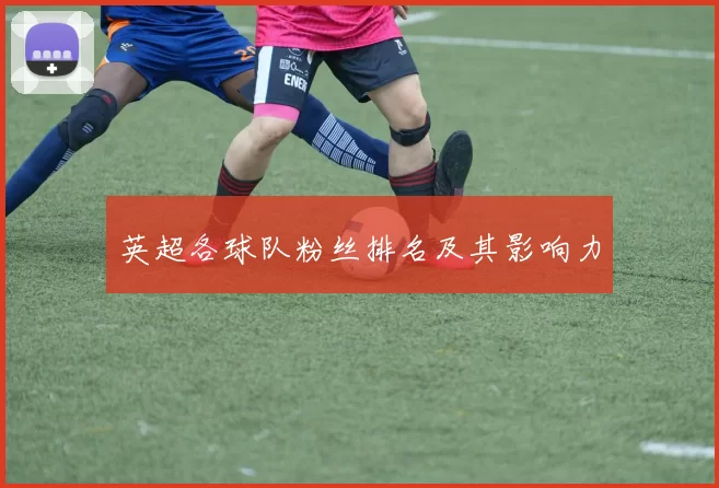 英超各球队粉丝排名及其影响力
