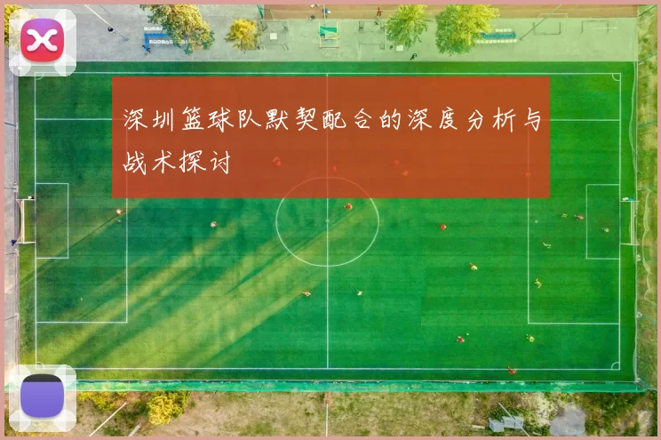 深圳篮球队默契配合的深度分析与战术探讨