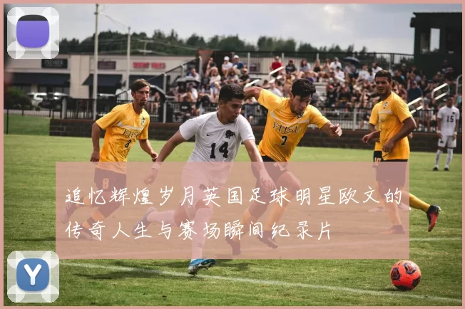 追忆辉煌岁月英国足球明星欧文的传奇人生与赛场瞬间纪录片