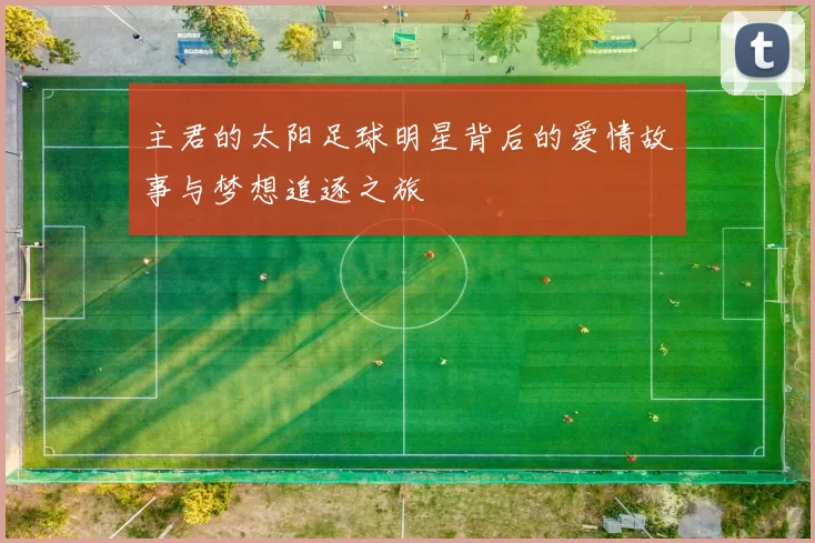 主君的太阳足球明星背后的爱情故事与梦想追逐之旅
