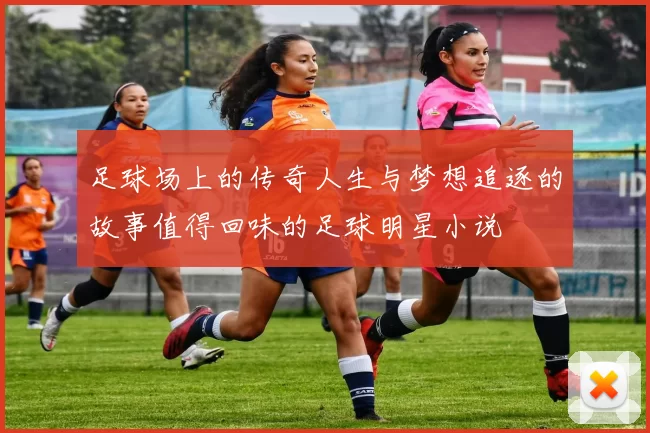 足球场上的传奇人生与梦想追逐的故事值得回味的足球明星小说