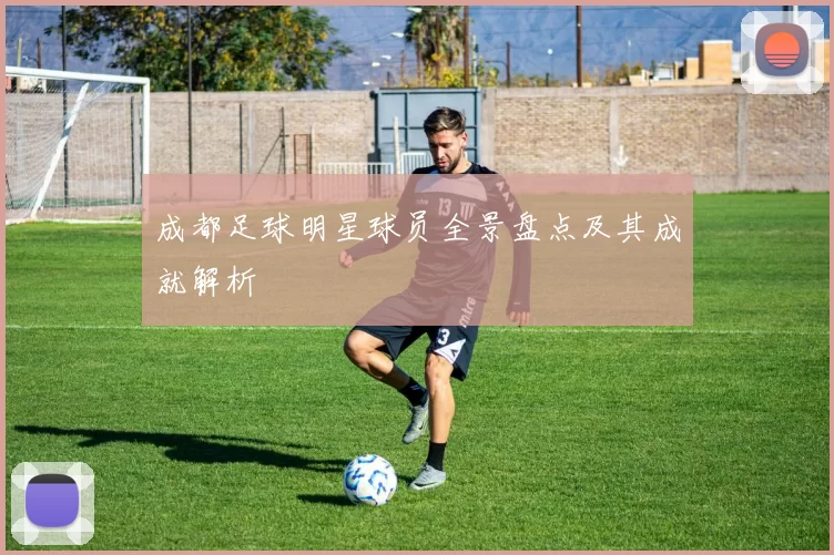 成都足球明星球员全景盘点及其成就解析