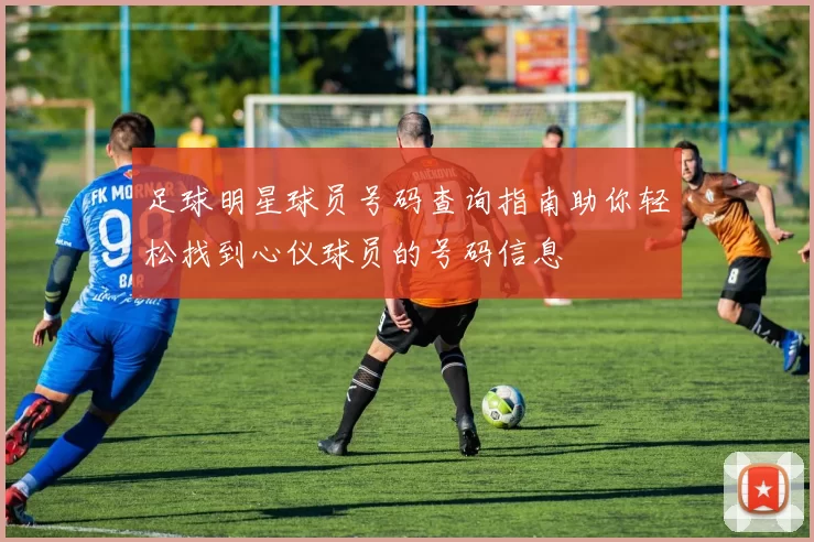足球明星球员号码查询指南助你轻松找到心仪球员的号码信息