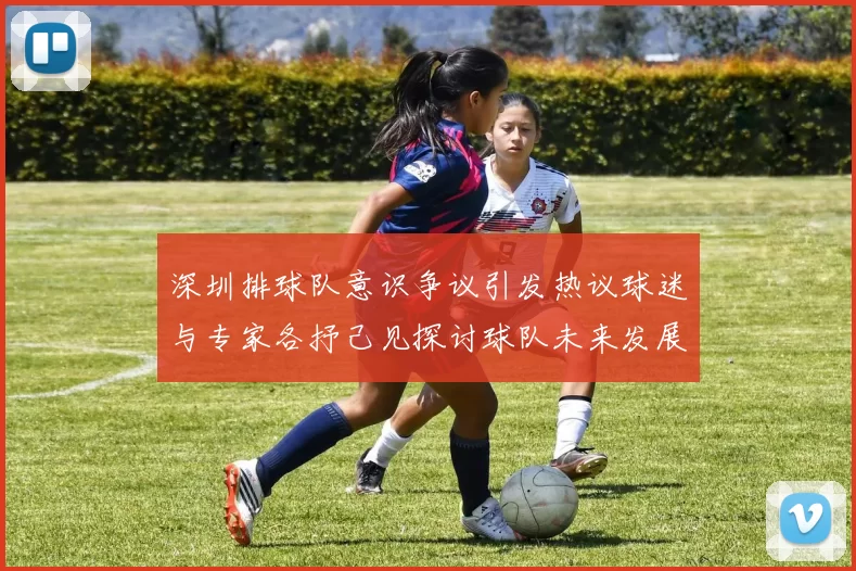 深圳排球队意识争议引发热议球迷与专家各抒己见探讨球队未来发展
