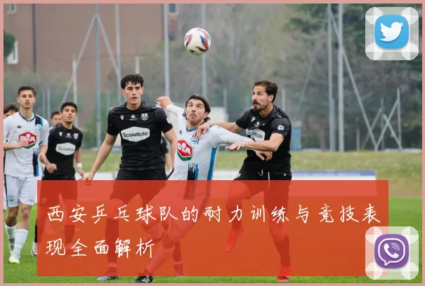 西安乒乓球队的耐力训练与竞技表现全面解析