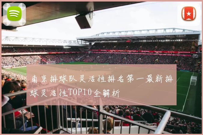 南京排球队灵活性排名第一最新排球灵活性TOP10全解析