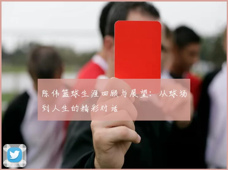 陈伟篮球生涯回顾与展望：从球场到人生的精彩对话