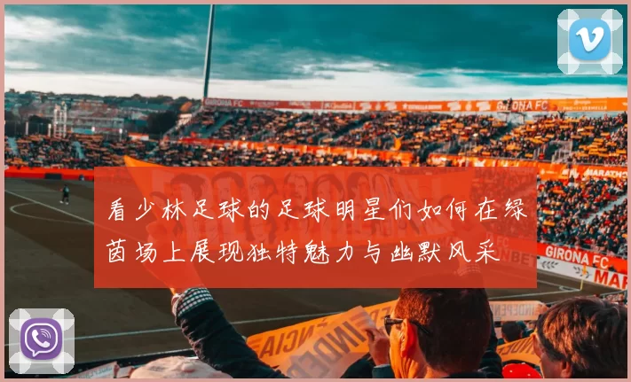 看少林足球的足球明星们如何在绿茵场上展现独特魅力与幽默风采