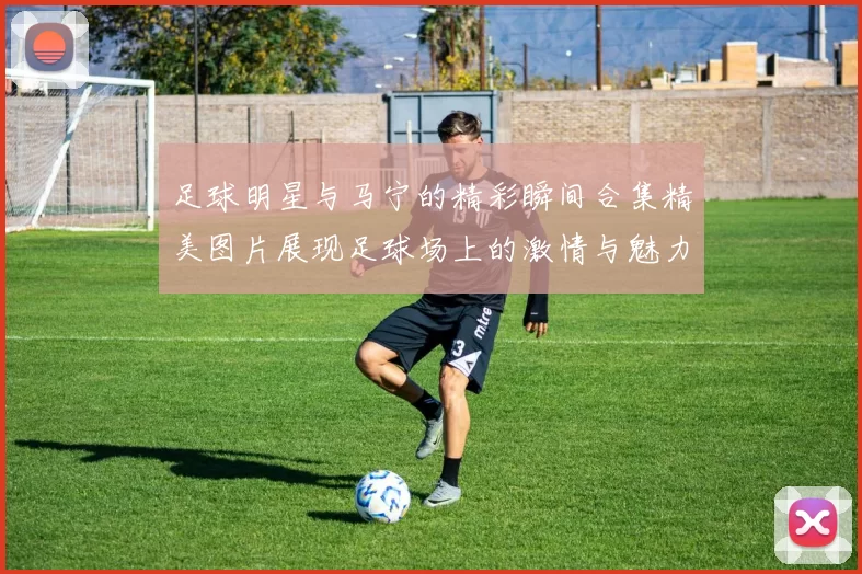 足球明星与马宁的精彩瞬间合集精美图片展现足球场上的激情与魅力