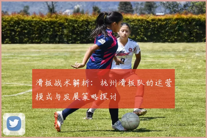 滑板战术解析:杭州滑板队的运营模式与发展策略探讨