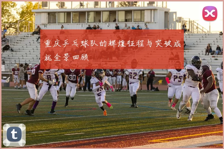 重庆乒乓球队的辉煌征程与突破成就全景回顾