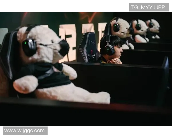 RNG战队的荣耀逆袭之路DOTA2赛场上的传奇与坚持