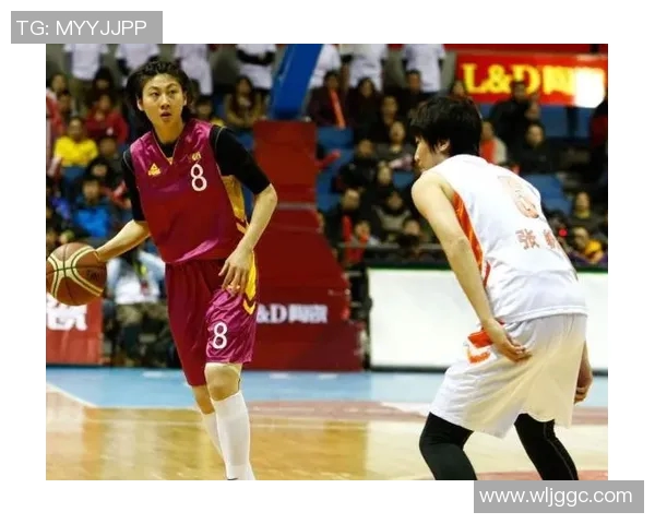 北京排球队转型纪实：从辉煌到重生的奋斗历程与启示