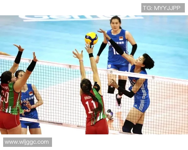 杭州排球队灵活性引发热议球迷与专家观点碰撞激烈