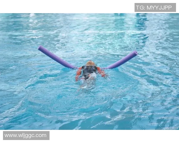 游泳界传奇人物的崛起与辉煌：从泳池到世界舞台的非凡故事